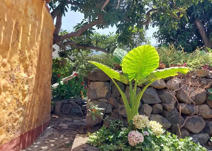 La Plantacion _agroturismo * لا أوروتافا