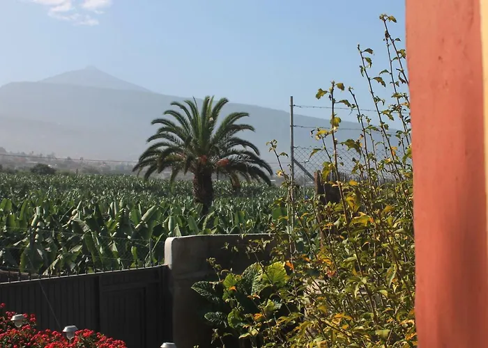 La Plantacion _agroturismo