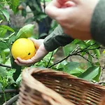 La Plantacion _agroturismo * לה אורוטבה