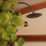 La Plantacion _agroturismo *