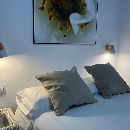 La Plantacion _agroturismo *