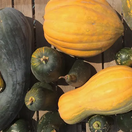 La Plantacion _agroturismo لا أوروتافا