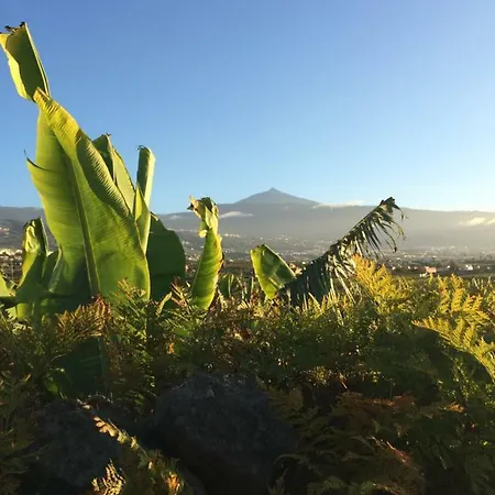 La Plantacion _agroturismo * La Orotava