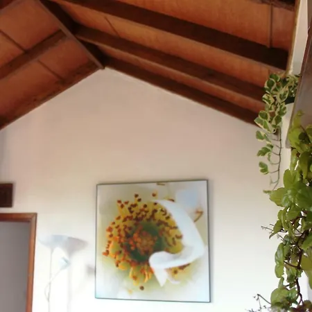 La Plantacion _agroturismo * La Orotava