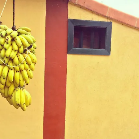 La Plantacion _agroturismo * La Orotava