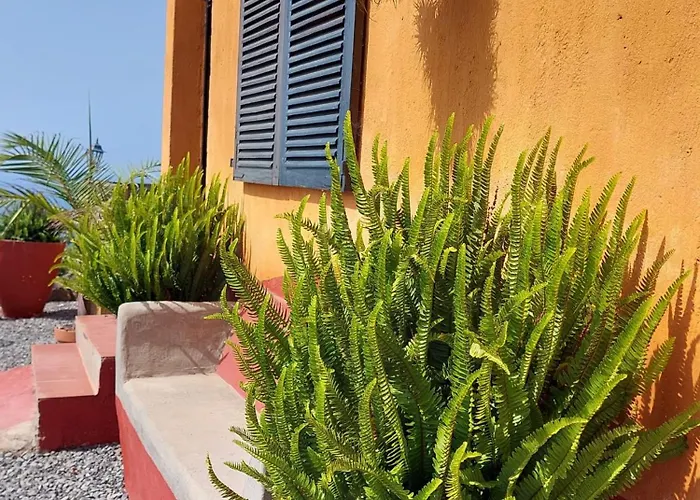 La Plantacion _agroturismo 別荘