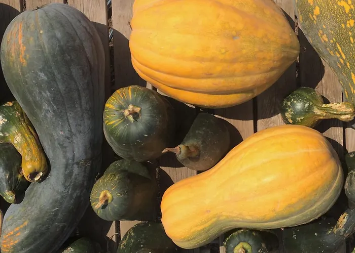 La Plantacion _agroturismo Ля Оротава