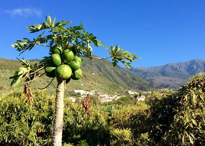 La Plantacion _agroturismo *