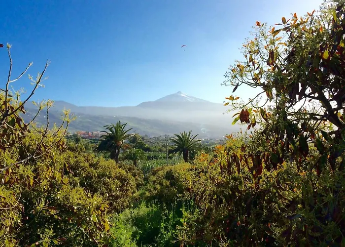 La Plantacion _agroturismo Дом отдыха *