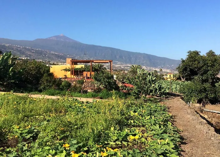 Дом отдыха La Plantacion _agroturismo *