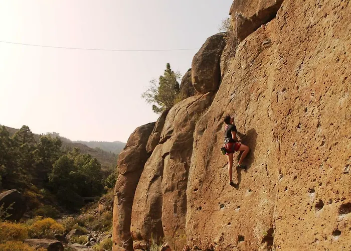La Plantacion _agroturismo *