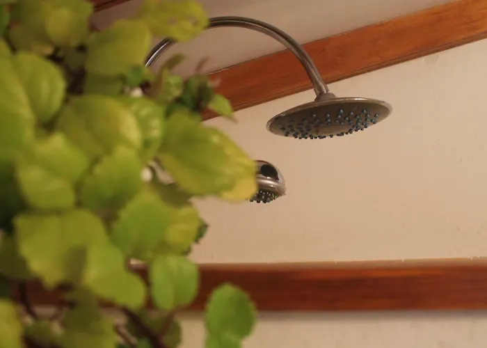 La Plantacion _agroturismo *