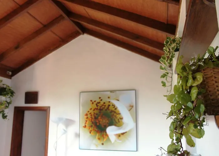 La Plantacion _agroturismo * Ля Оротава