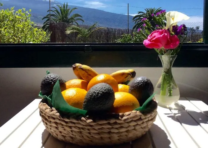 La Plantacion _agroturismo 別荘