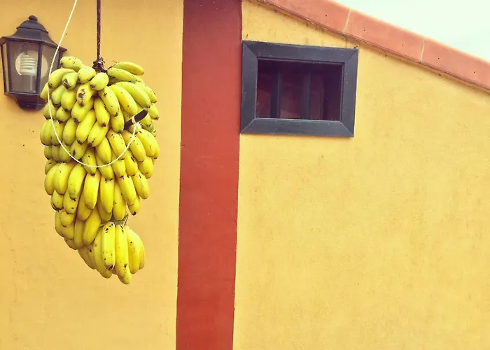 La Plantacion _agroturismo * ラ・オロタバ